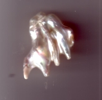 Perlstück 12  3,7x2,8 cm